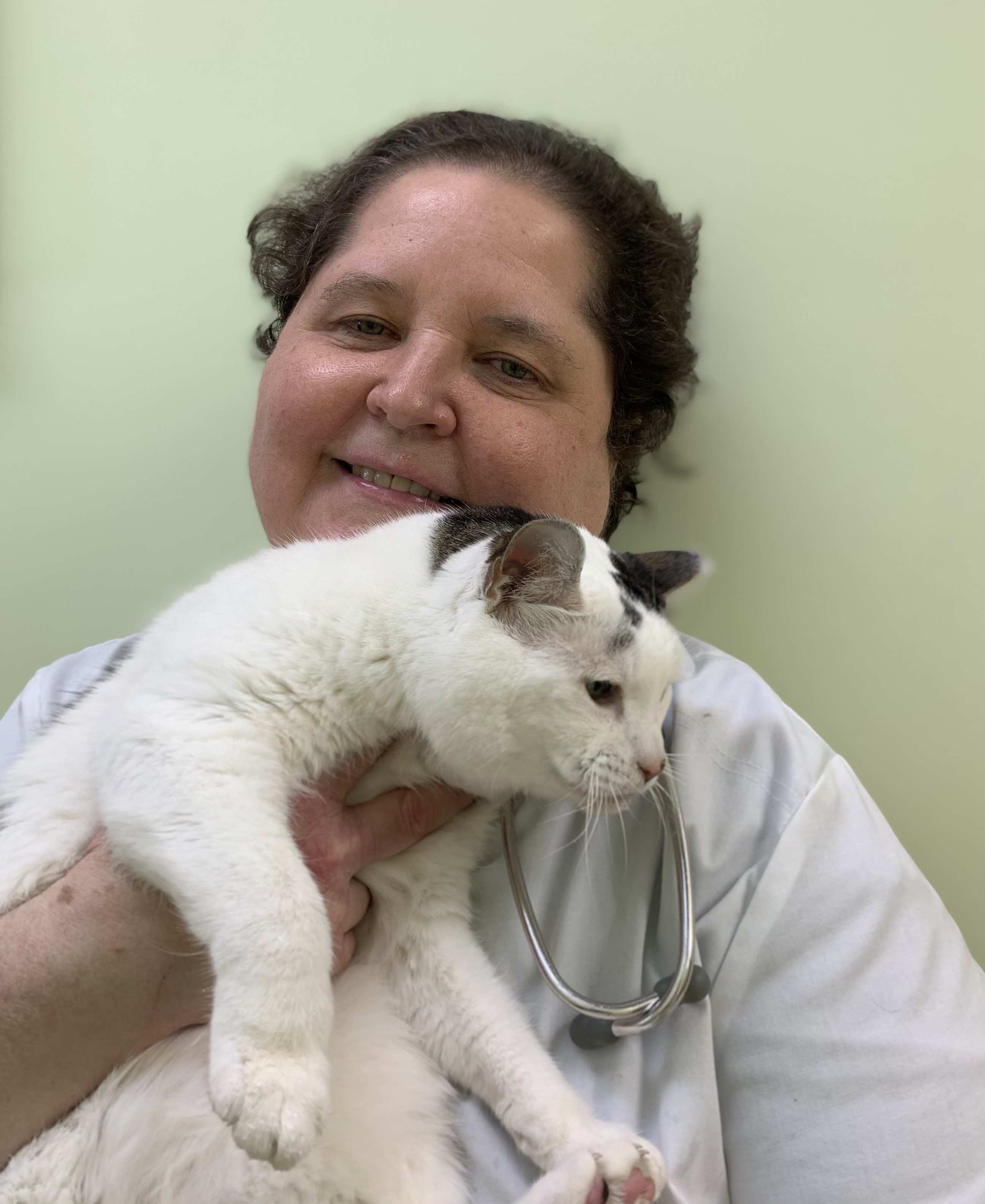 Dr. Cathy Palomar with a cat patient